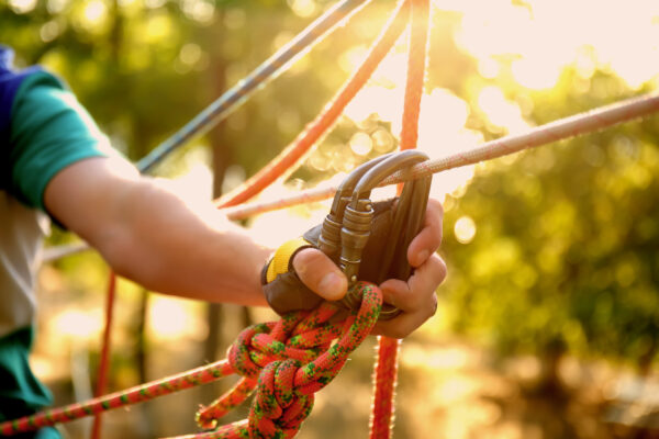 © Pixel-Shot – stock.adobe.com