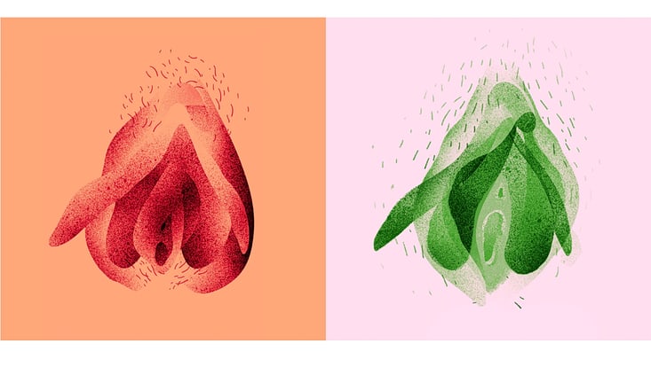 Illustration: Florentine Sießegger; Grafik: Maya Freiesleben